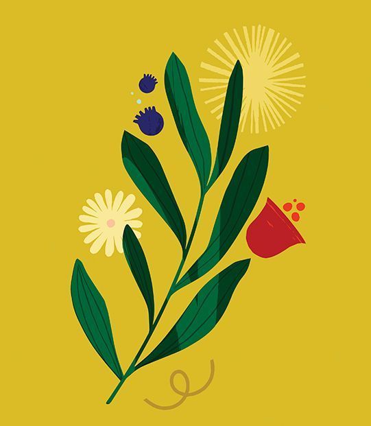 Maïa Faddoul digital illustration. A flower on a yellow background.